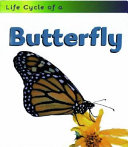 Life Cycle of a Butterfly cover