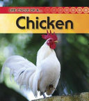 Life Cycle of a Chicken cover