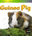 Life Cycle of a Guinea Pig cover