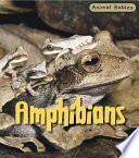 Amphibians cover