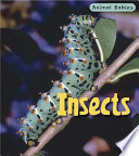 Insects cover