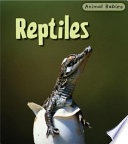 Reptiles (English) cover