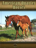 Quarter Horses cover