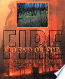 Fire: Friend or Foe cover