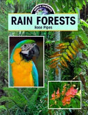 Rain Forests cover