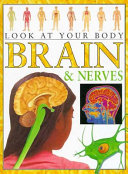 Brain & Nerves cover