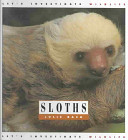 Sloths cover