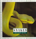 Snakes (Let's Investigate) cover