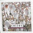 Cotton cover