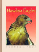 Hawks & Eagles cover