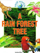 A Rain Forest Tree cover
