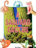 A Saguaro Cactus cover