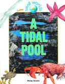 A Tidal Pool cover