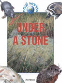 Under a Stone cover