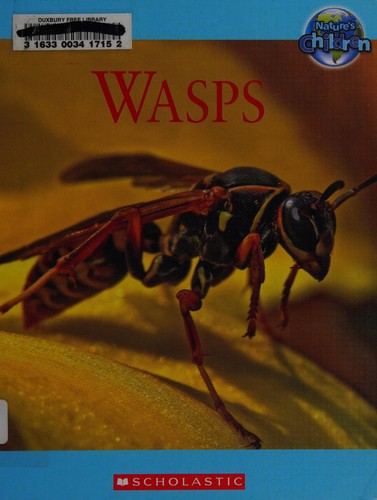 Wasps cover