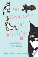 The 89th Kitten cover