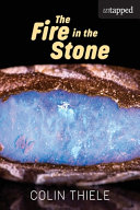 The Fire in the Stone cover