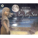 The Big Big Sea cover