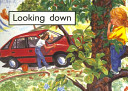 Looking Down cover
