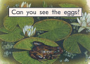 Can You See the Eggs? cover