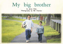 My Big Brother cover