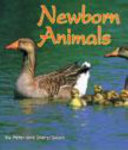 Newborn Animals cover