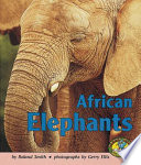 African Elephants cover