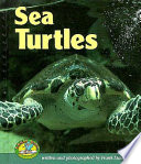 Sea Turtles cover