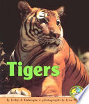 Tigers cover