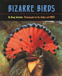 Bizarre Birds cover