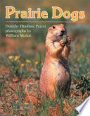 Prairie Dogs cover
