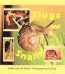 Slugs and Snails cover