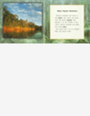 Tropical Rainforests (Habitats of the World) cover