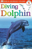 Diving Dolphin cover