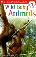 Wild Baby Animals cover
