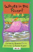 What's in the River? (Solo) cover