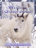 Winter Survival cover
