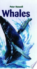 Whales cover