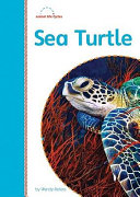 What Is a Turtle? cover