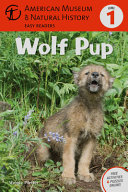 What Is a Wolf? cover