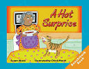 A Hot Surprise cover