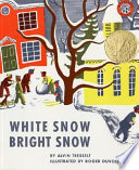 White Snow Bright Snow cover