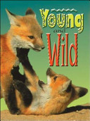Young and Wild cover