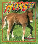 What Is a Horse? cover