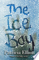 The Ice Boy cover