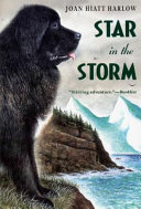 Star in the Storm cover
