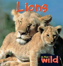Lions cover