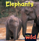Elephants cover
