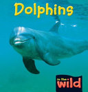 Dolphins cover
