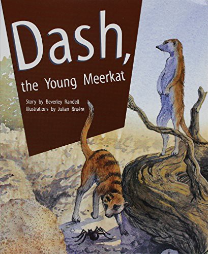 Dash, the Young Meerkat cover